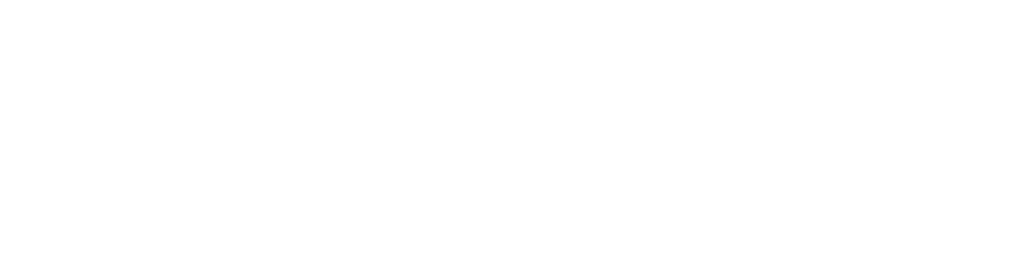 Investor logo full